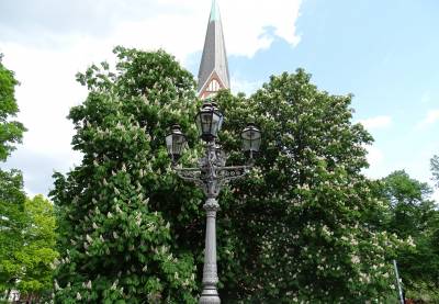 Karl-August-Platz 2
